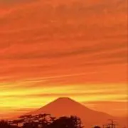 富士ねねの画像