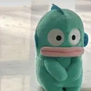 ❤︎