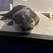 maの画像