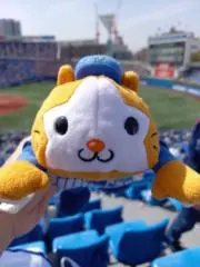 のりの画像