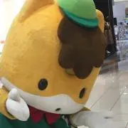 毬藻の画像