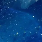 みさくちの画像