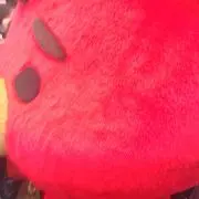TB