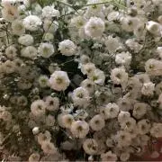 ひとみん