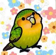 ♡カカポ♡