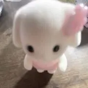 みの画像