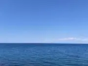 ヨッシーの画像