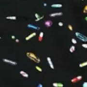 くだものの画像