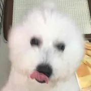 UFOの画像