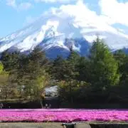 コントレイルの画像