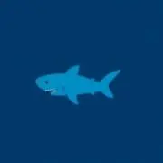 サメちゃんの画像