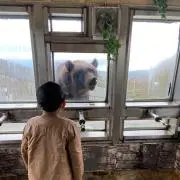 ミオピンの画像