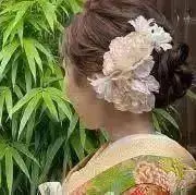 Pの画像