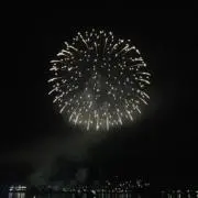金魚花火の画像