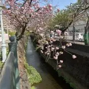 Anyの画像