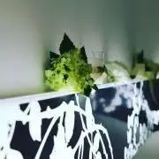 kd15