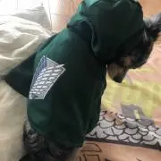 レモン