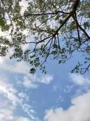Y::-⁠*の画像