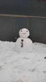 ぱろの画像
