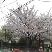 香