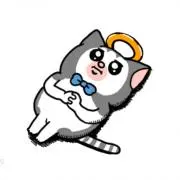 wilsoon!の画像