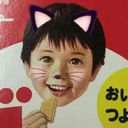 ちゃんどんの画像