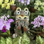 タイホー。の画像