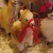 ゆんたろう⚠︎次回発送7/28⚠︎