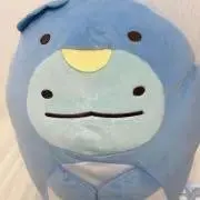 こんぶの画像