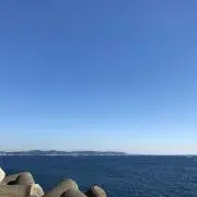 断捨離中です。の画像