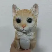 乃愛の画像