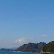 むくの画像