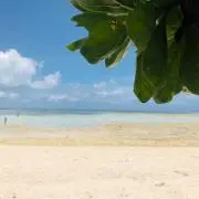 ア
