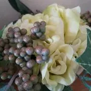 えのはの画像