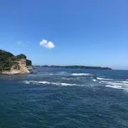 ミナの画像