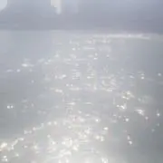 shiの画像