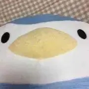 Pentaの画像