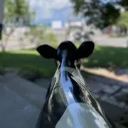 断捨離名人の画像