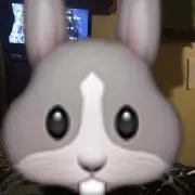 amの画像