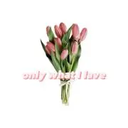 Only What I LOVEの画像