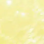 zooの画像