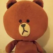 ぽんにゃんの画像