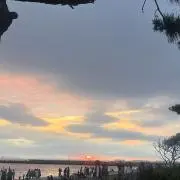 もの画像