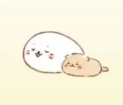 ゆきんこの画像