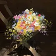 さくの画像