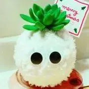 りん♪土日祝祭日発送お休みの画像