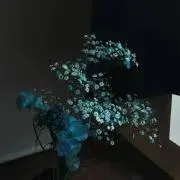 ぶぎ