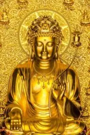 ちぇるちぇるみっちぇるの画像