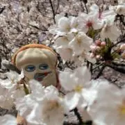 なつの画像