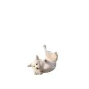 3の画像